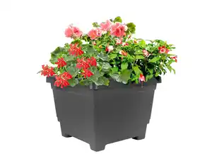 Blumenkübel eckig 38x38cm