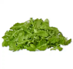 Rucola