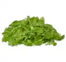 Bild 1 von Rucola