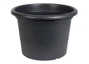 Planztopf „Campanula“ Kunststoff