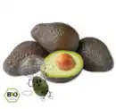 Bild 1 von NATURGUT Bio-Avocado