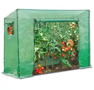 Tomaten-Gewächshaus