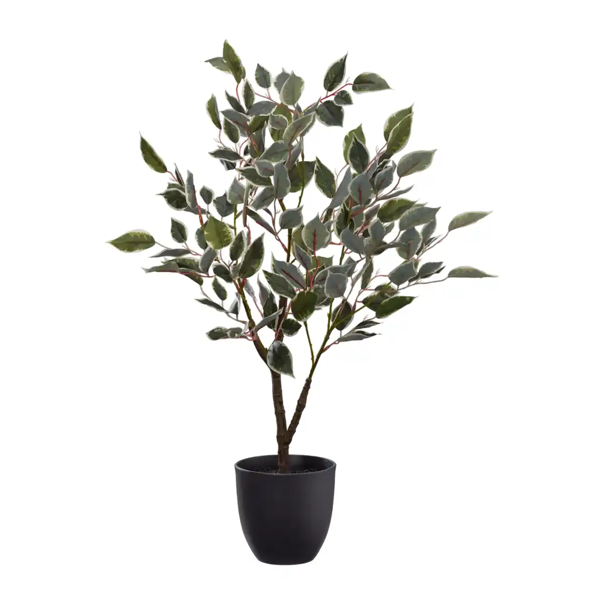 Bild 3 von HOME CREATION Kunstpflanze im Topf