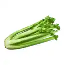 Bild 1 von Staudensellerie