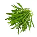 Bild 1 von Rucola