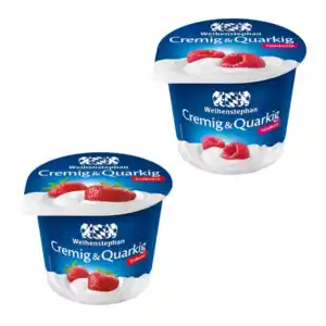 WEIHENSTEPHAN Fruchtquark
