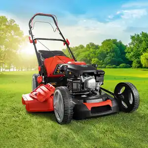 Scheppach Benzin-Rasenmäher