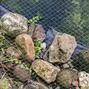 Bild 1 von Powertec Garden Teich- und Laubschutznetz