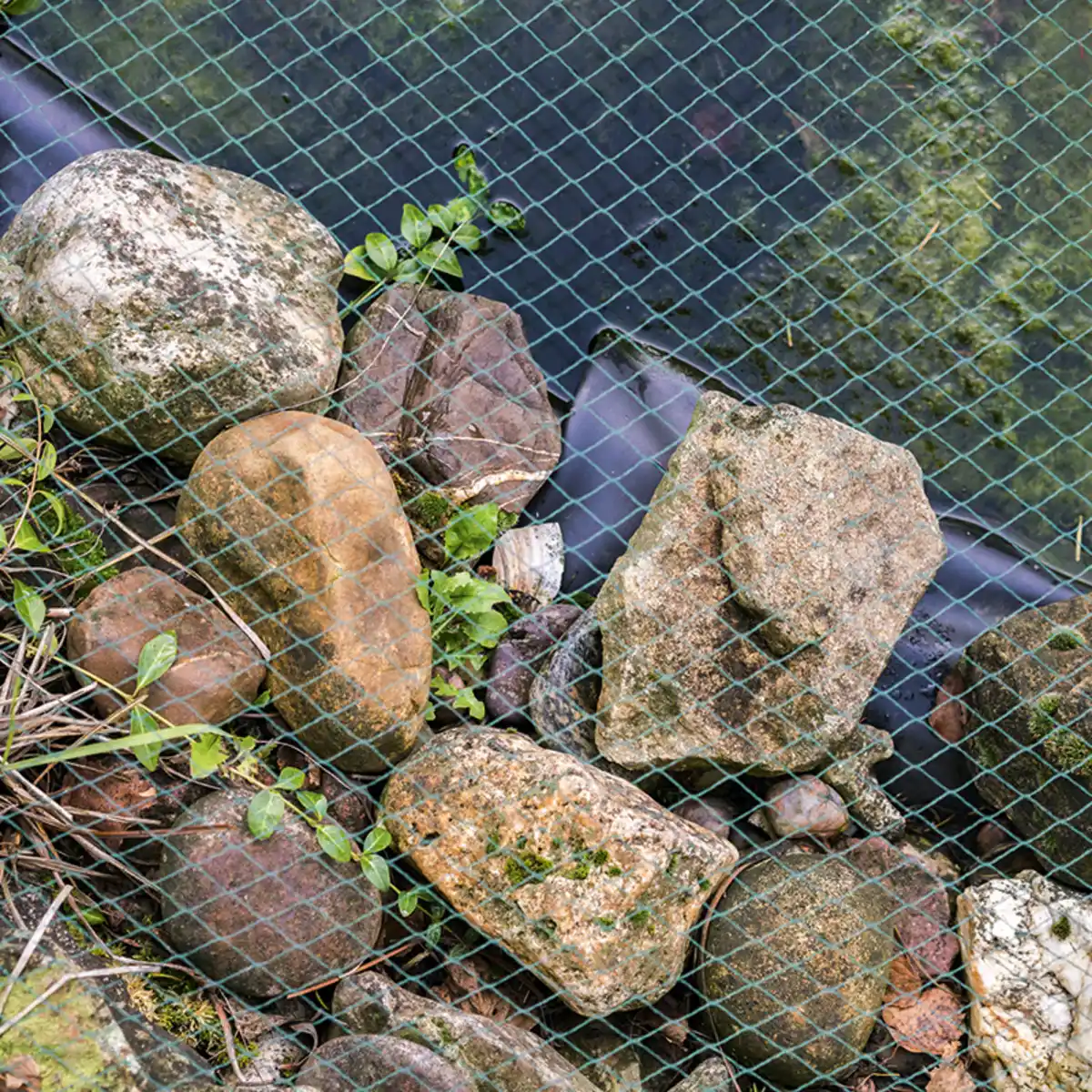 Bild 1 von Powertec Garden Teich- und Laubschutznetz