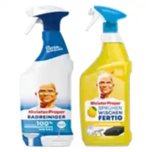 Meister Proper Bad- oder Allzweckreiniger