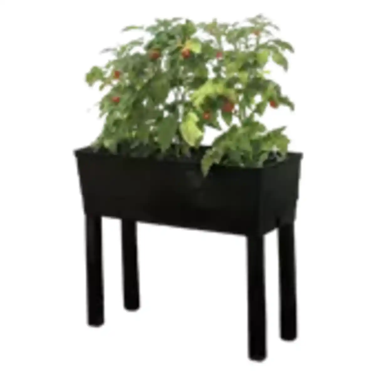 Bild 1 von Hochbeetpflanzer