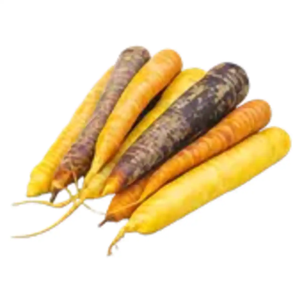 Bild 1 von Bio Möhren Mix