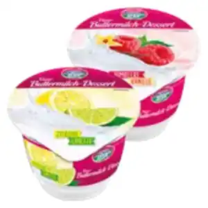 Sachsenmilch Unser Buttermilch-Dessert