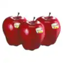 Bild 1 von Red Chief