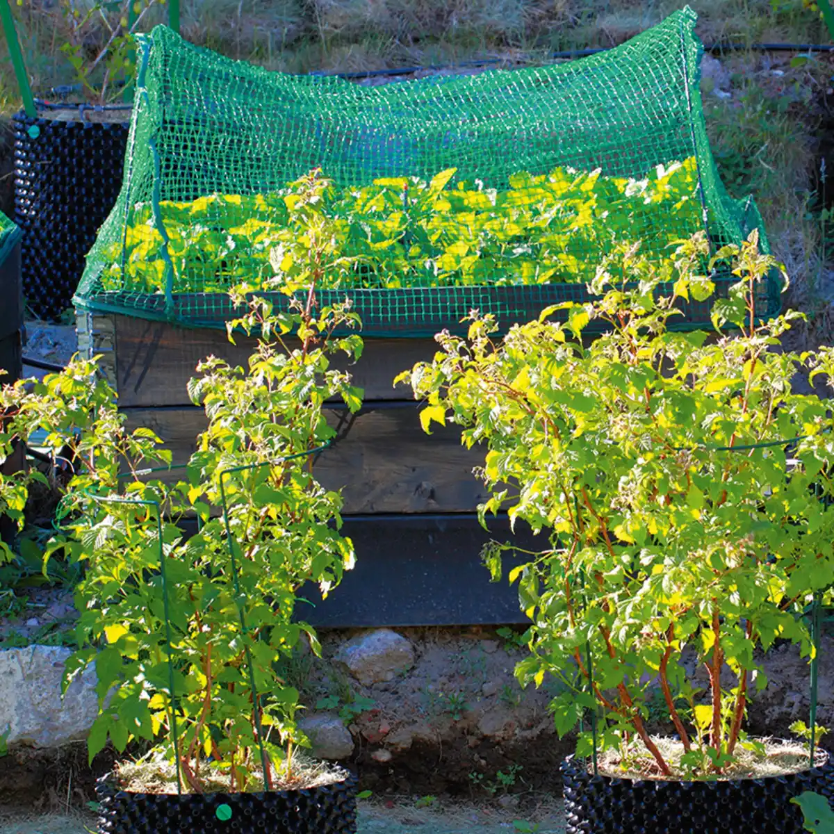 Bild 1 von Powertec Garden Vogelschutznetz 3er-Set
