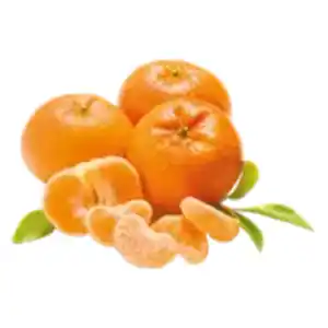 Mandarinen „Nadorcott“