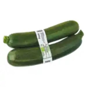 GO BIO Zucchini