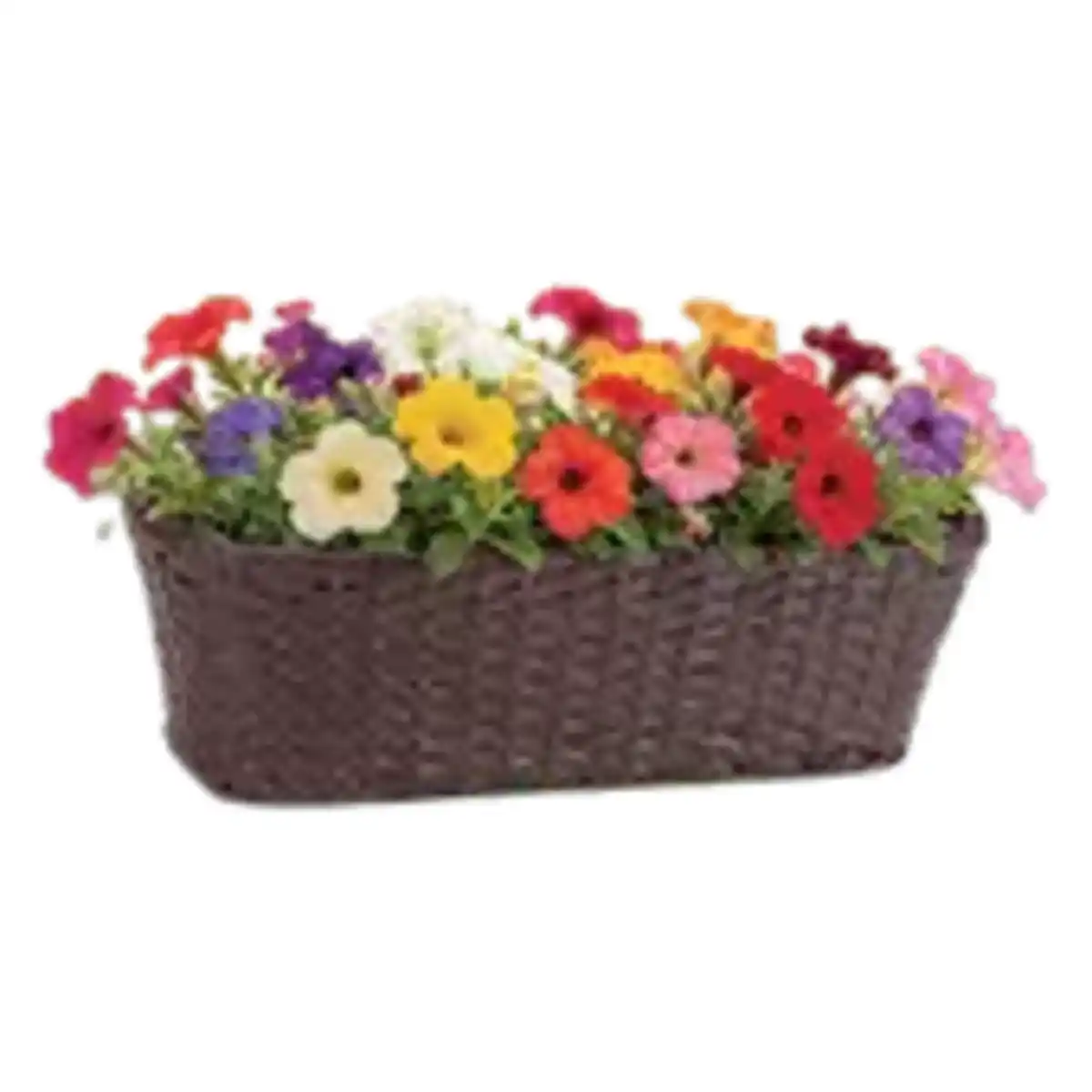 Bild 1 von Rattan–Balkonkasten