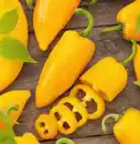 Bild 1 von Resistente Gemüsepflanzen Snackpaprika Capsicum gelb 12 cm Topf