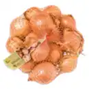 Bild 1 von GO Regio Zwiebeln