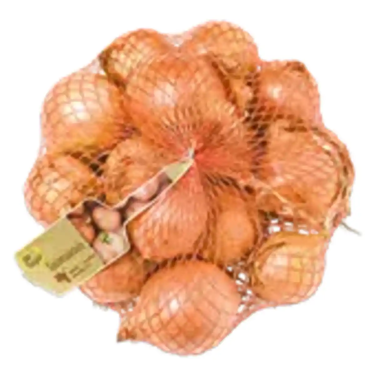 Bild 1 von GO Regio Zwiebeln