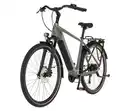 Bild 1 von FISCHER Trekking-E-Bike VIATOR MOVE, groß, Diamant-Rahmen