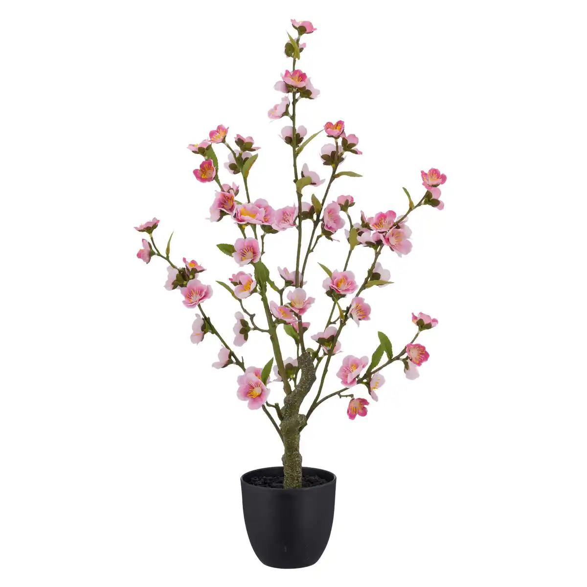 Bild 1 von Kirschblütenzweig Kirschblüte Rosa ca. 64cm, Rosa