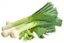 Bild 1 von Lauch