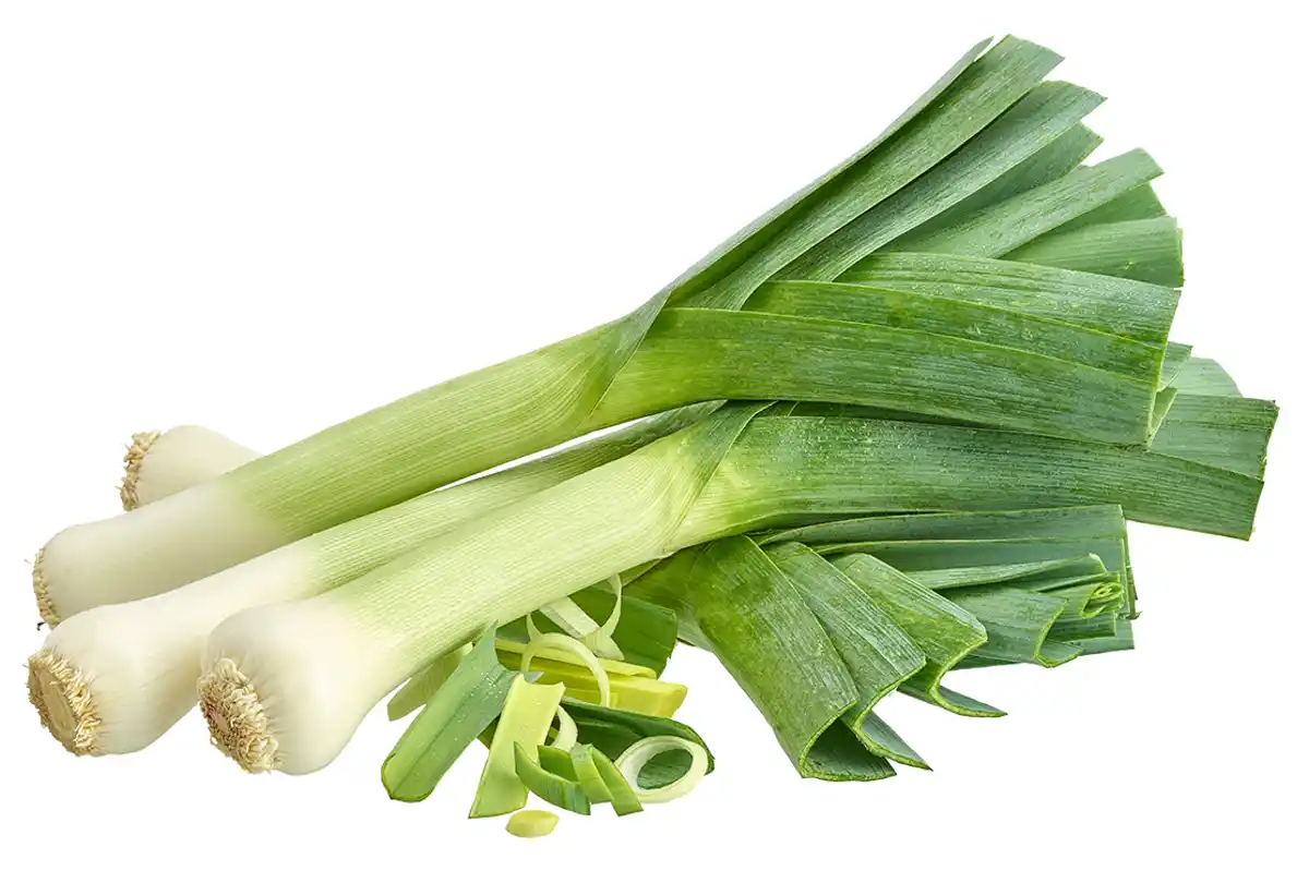 Bild 1 von Lauch