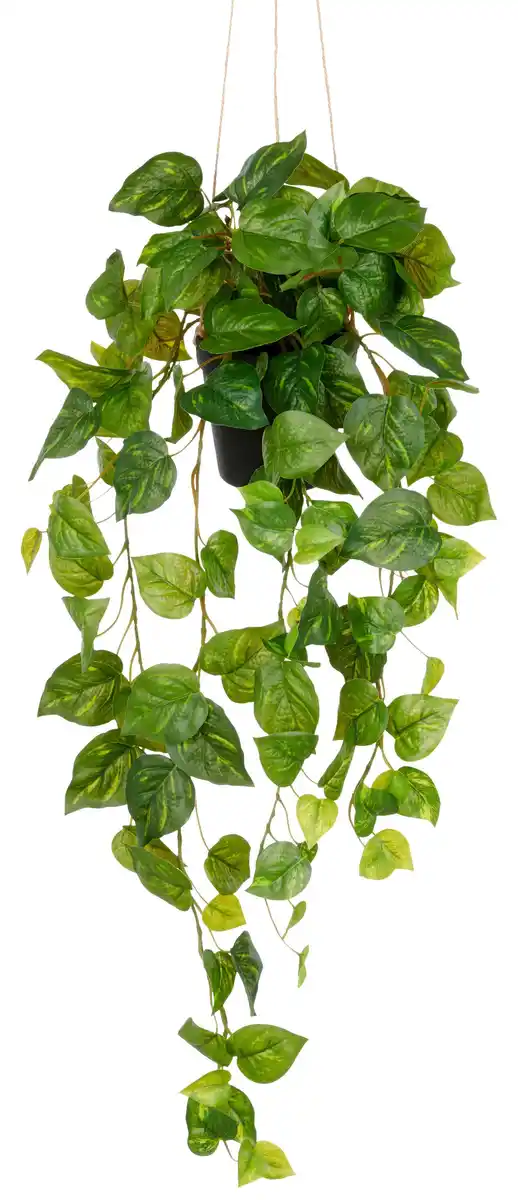 Bild 1 von Kunstpflanze Philodendronhänger II Grün, Grün
