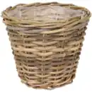 Bild 1 von Blumentopf Kyara