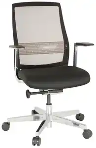 Drehstuhl Fountaine Pro Schwarz/Silberfarben, Silberfarben, Schwarz