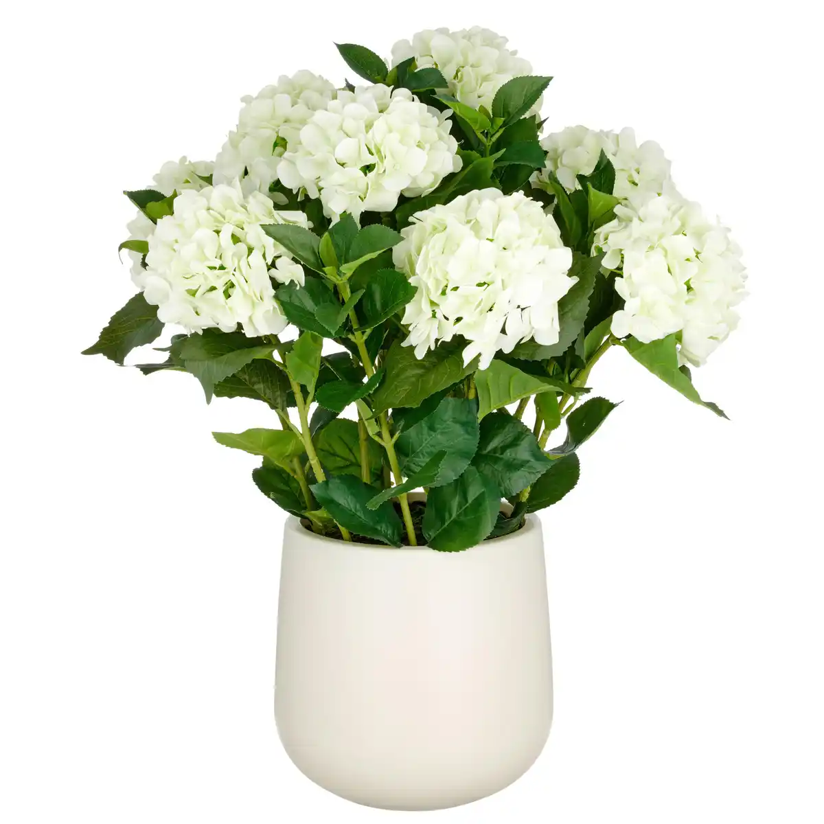 Bild 1 von Kunstpflanze Hortensien Creme ca. 75cm, Grün