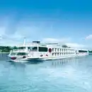 Bild 1 von R(h)ein ins Blütenmeer