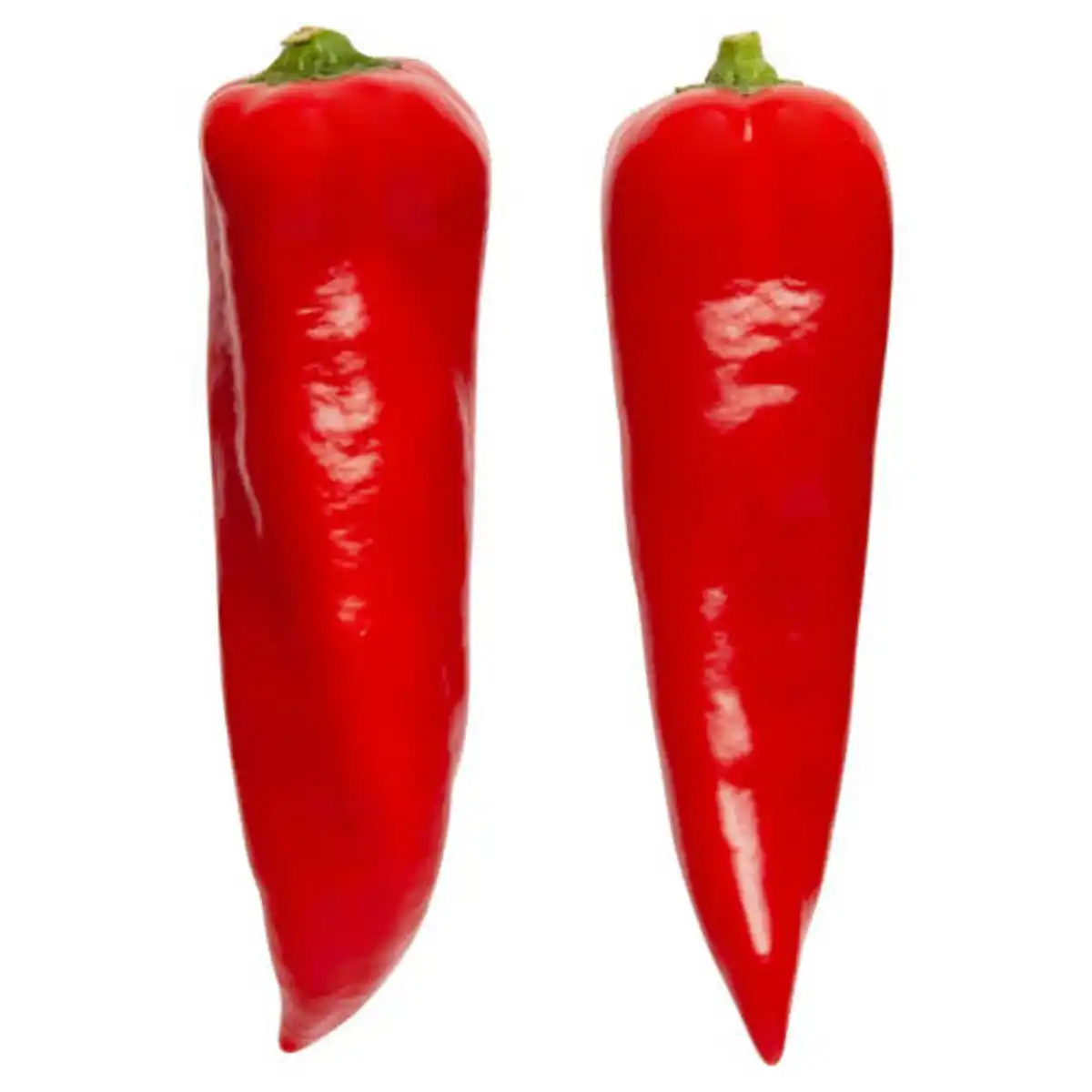 Bild 1 von Bio Spitzpaprika rot 180 g