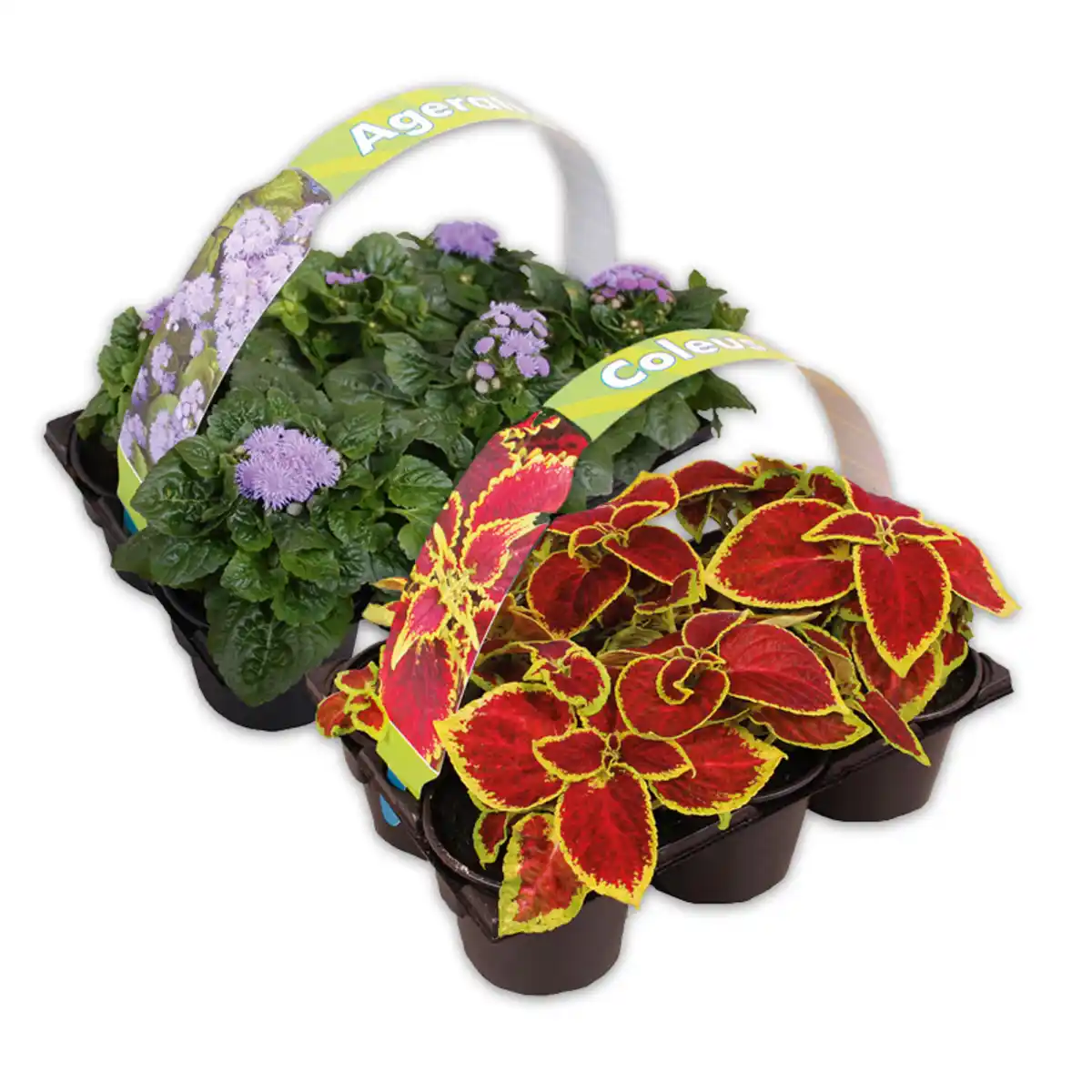 Bild 1 von Farb-Akzente für Gartenfreunde