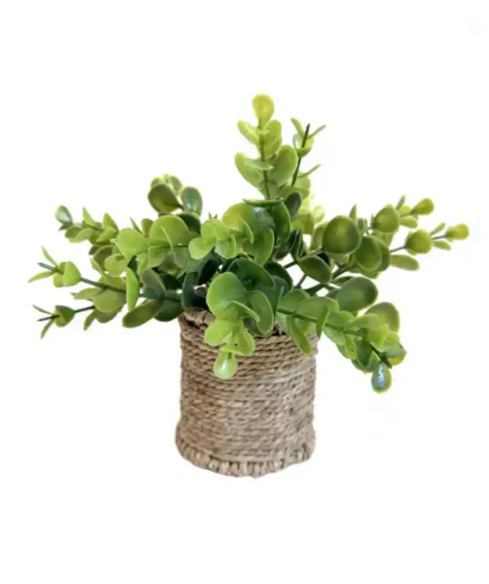 Bild 1 von Kunstpflanze im Seegrastopf, hellgrün
