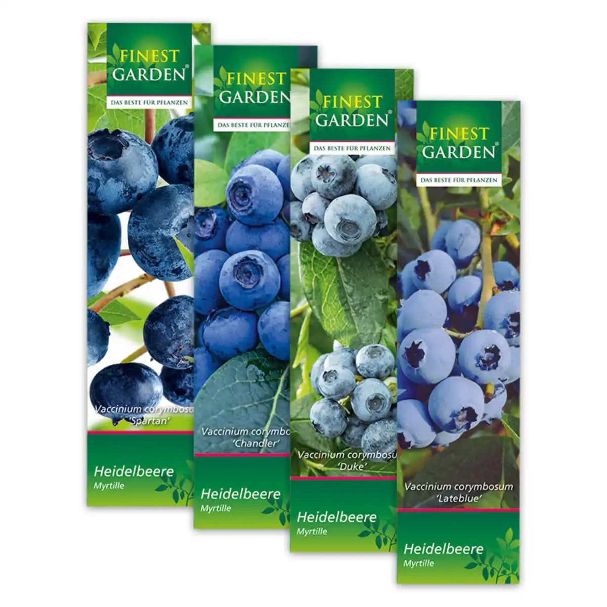 Bild 1 von Finest Garden Blaubeeren-Sortiment