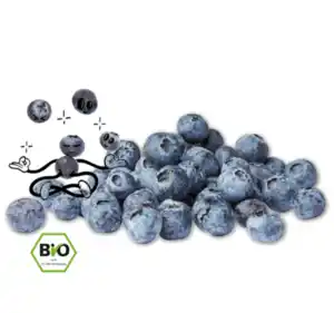 NATURGUT Bio-Heidelbeeren*