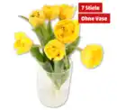 Bild 1 von Tulpen Pomponette*