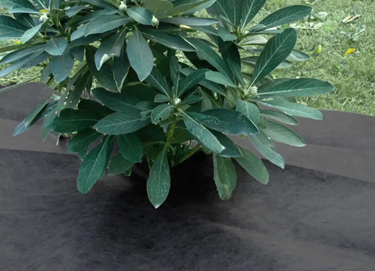 Bild 1 von Grüner Jan Premium-Gartenvlies 1x15m