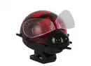 Bild 1 von Solar-Biene mit Clip