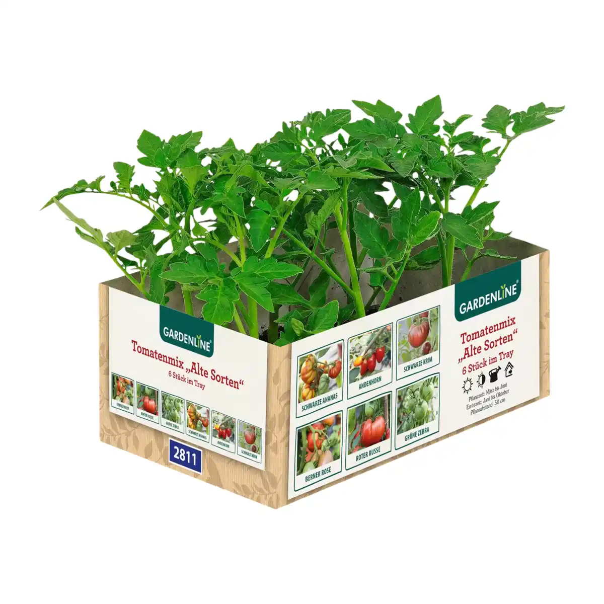 Bild 3 von GARDENLINE Tomatenpflanzen