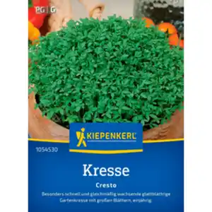 Kiepenkerl Gartenkresse Lepidium sativum »Cresto«, einjährig