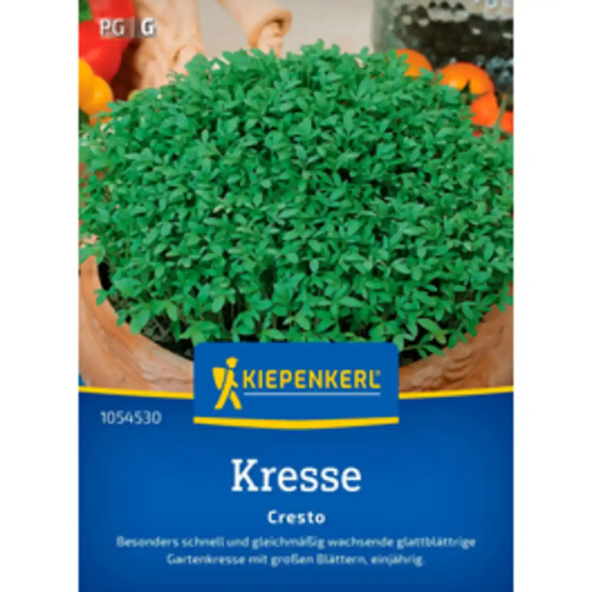 Bild 1 von Kiepenkerl Gartenkresse Lepidium sativum »Cresto«, einjährig