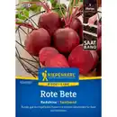 Bild 1 von Kiepenkerl Rote Bete Beta vulgaris »Redshine«, einjährig
