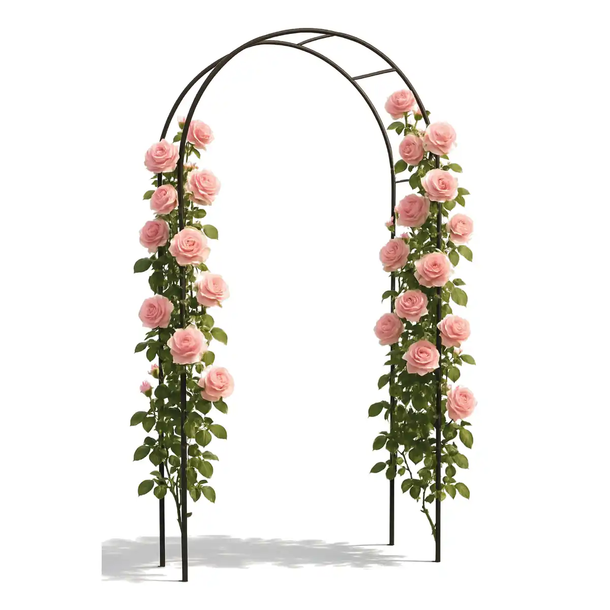 Bild 1 von Rosenbogen 'York' 140 x 38 x 240 cm schwarz