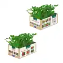 Bild 1 von GARDENLINE Tomatenpflanzen