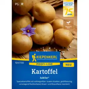 Kiepenkerl Kartoffel Solanum Solanum tuberosum »Jubila F1«, einjährig