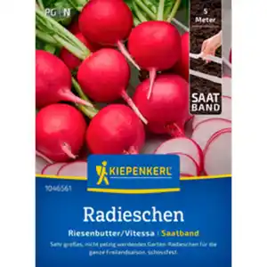 Kiepenkerl Radieschen Raphanus Raphanus sativus »Riesenbutter«, einjährig